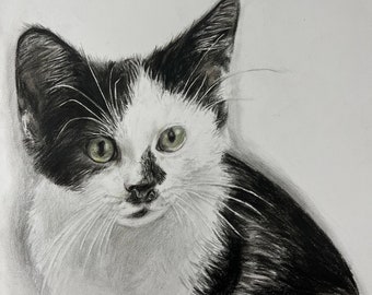 Hand drawn custom pet portrait FREE DOMESTIC POSTAGE