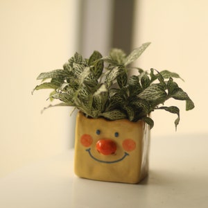 Pre-order Cheese Shape Ceramic Plant Pot, Handmade Cute Pottery Planter, Unique Gift, Gift for Her,Valentine Gift