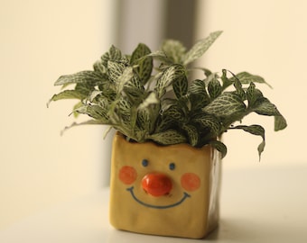 Pre-order Cheese Shape Ceramic Plant Pot, Handmade Cute Pottery Planter, Unique Gift, Gift for Her,Valentine Gift