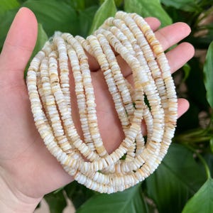 Puede incluir: Una hebra de cuentas de concha blancas y crema. Las cuentas son pequeñas y redondas, y están enhebradas en un hilo transparente. Las cuentas están dispuestas en un patrón suelto y fluido.