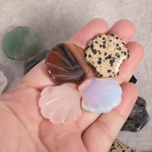 May include: A collection of gemstone seashell carvings in various colors, including pink, brown, beige with black spots, and opalescent white. The carvings are held in a hand, showcasing their intricate details and natural beauty.