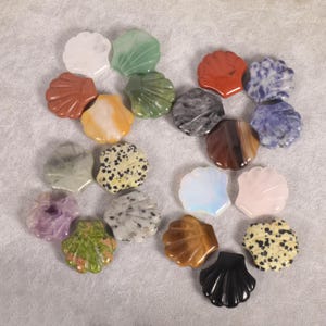 May include: A collection of seashell-shaped gemstones in various colors and patterns. The gemstones include white, green, red, blue, gray, brown, yellow, and black. The gemstones are arranged on a light gray surface.