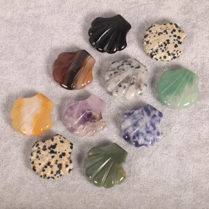 May include: A collection of seashell-shaped gemstones in various colors and patterns. The assortment includes black, brown, white with black spots, green, yellow, purple, and blue. Each stone is carved to resemble a scallop shell.