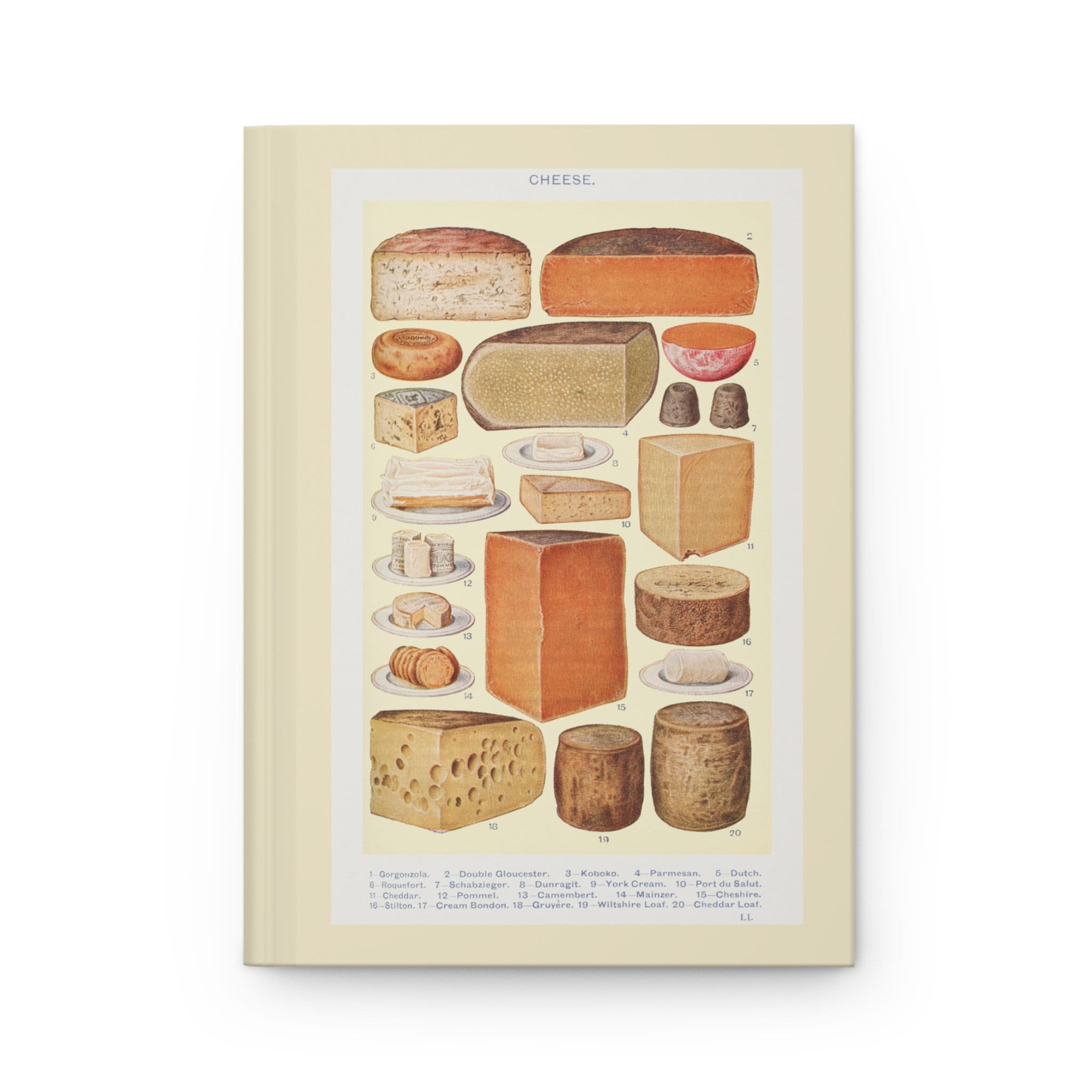Cheese Identification Notebook - Vintage Illustrated Cheese Guide ...