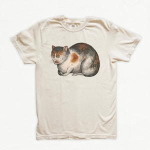 Medieval Cat Shirt, Funny Cat Meme Tshirt, Gifts for Cat Moms, Pet Parents, Ironic Novelty Tee Comfort Colors