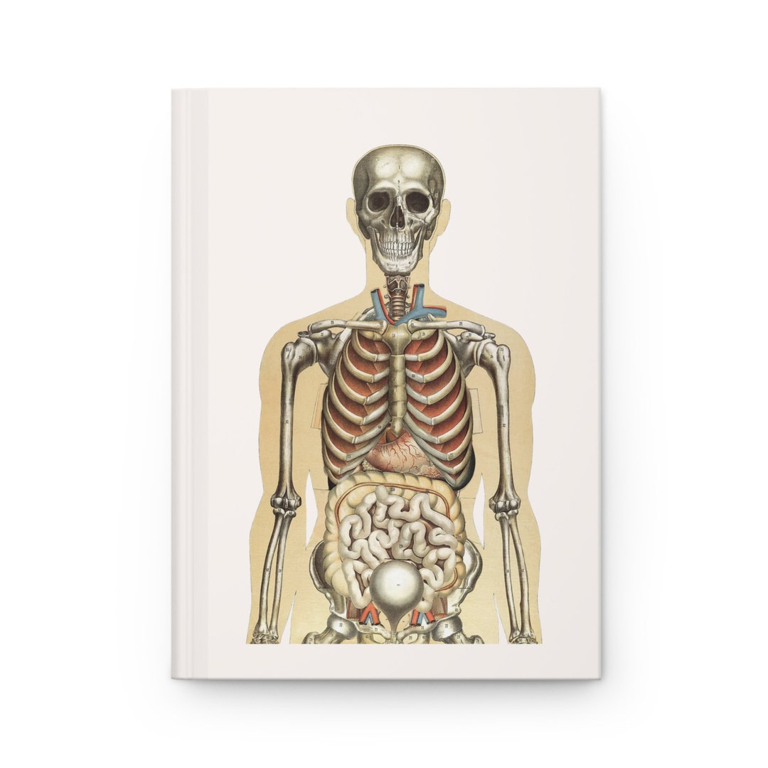 Vintage Anatomical Illustration Human Body Skelton Notebook - Bone ...