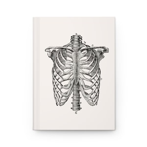 Op de afbeelding: Een zwart-wit anatomische illustratie van een menselijke ribbenkast. De afbeelding toont de botten van de ribbenkast, inclusief het borstbeen, de ribben en de wervels. De afbeelding is gelabeld met letters om de verschillende delen van de ribbenkast te identificeren.