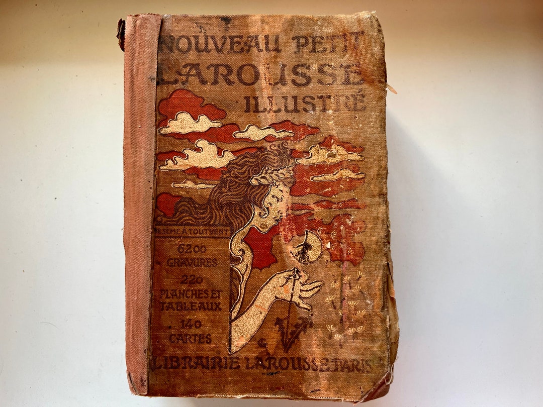 辞典 フランス語 プチ・ラルース Petit Larousse 1973 41R+G6HpDnL._UF1000,1000_QL80_.jpg