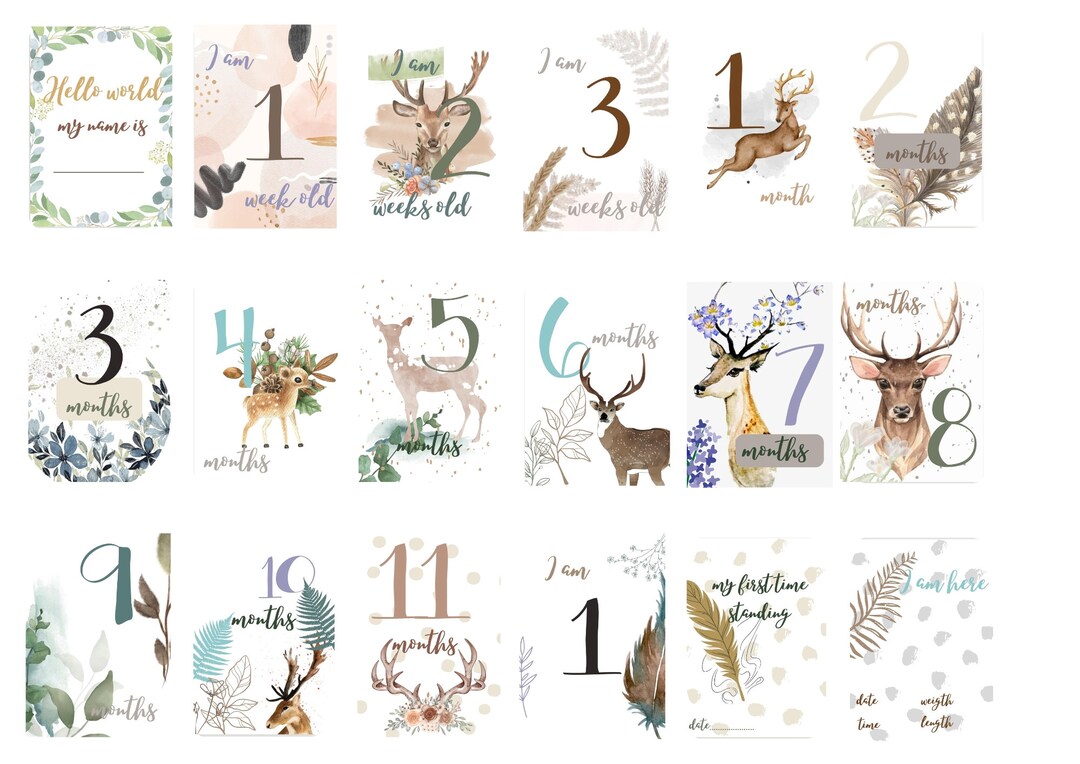 30 Baby Milestone Cards Forest Deer for Boys and Girls in a Gift Box ...