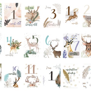 30 cartes de jalon bébé Forest Deer pour garçons et filles dans un coffret cadeau belle idée pour baby shower, anniversaire, baptême, anglais