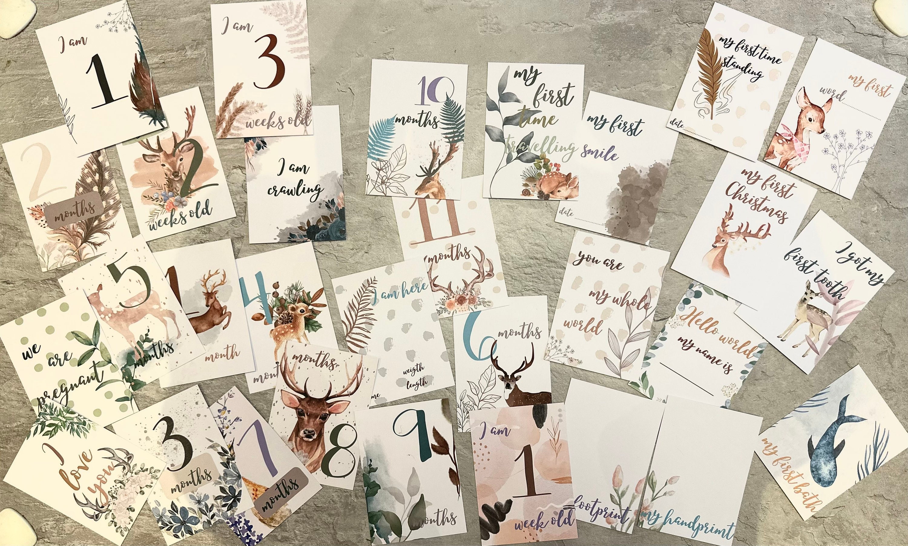 30 Baby Milestone Cards Forest Deer for Boys and Girls in a Gift Box ...