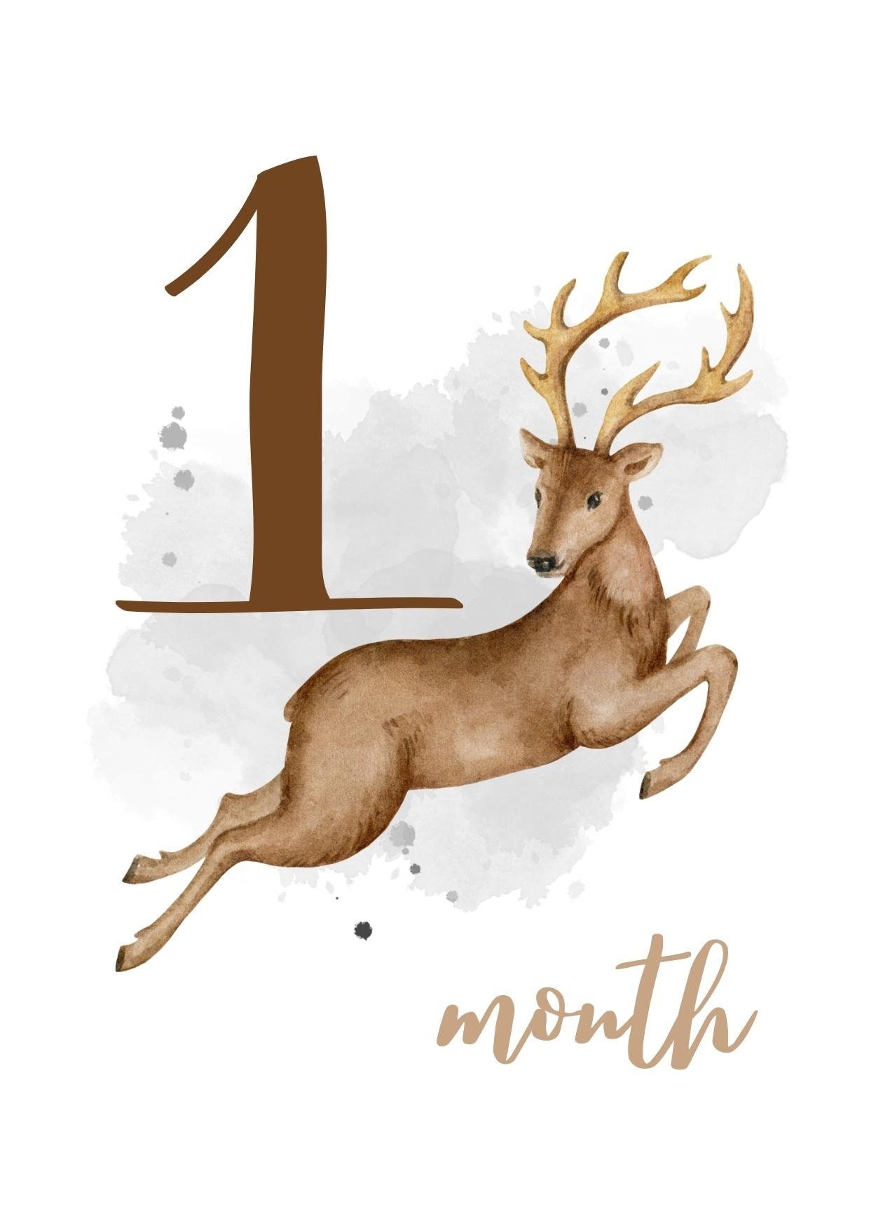 30 Baby Milestone Cards Forest Deer for Boys and Girls in a Gift Box ...