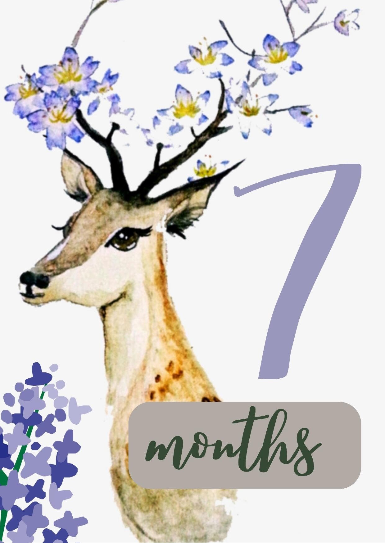 30 Baby Milestone Cards Forest Deer for Boys and Girls in a Gift Box ...