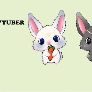 Customized Vtuber - bunny vtuber model - Fully Body/Fully rigged Live2D Avatar finished
