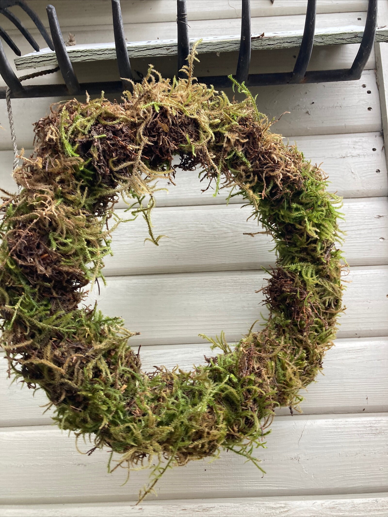 Hand Made Fresh Moss Wreath Ring Ready for Decorating Etsy UK