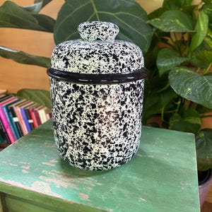 May include: A speckled black and white ceramic jar with a matching lid. The jar has a black rim and sits on a distressed green table. The background includes green plants and a bookshelf.