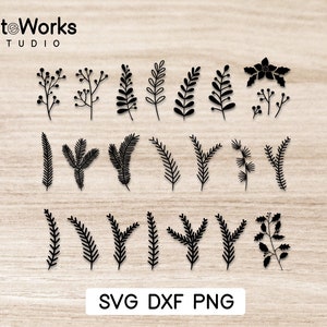 Puede incluir: Un conjunto de 20 imágenes en silueta negra de varios diseños de hojas y flores. Las imágenes están dispuestas en tres filas sobre un fondo de madera. El texto "SVG DXF PNG" está en la parte inferior de la imagen.