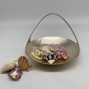 May include: A small silver bowl with a handle, filled with seashells. The bowl is on a white surface. The seashells are a variety of colours and shapes.