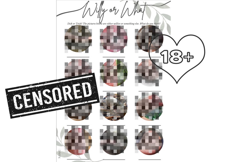 Willy or What Baby Shower Game, Printable Funny Rude Game, Instant