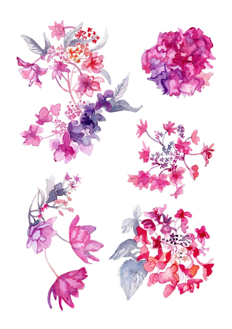 Modern Watercolour Botanical Art Print: Hydrangea Flower Study A Unframed Artwork for Home Decor and Gift. image 3