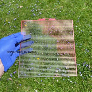 Puede incluir: Una lámina de plástico roja y blanca con una cuadrícula y una pequeña manija en la parte superior. La lámina se sostiene frente a un fondo de hierba verde con pequeñas flores moradas.
