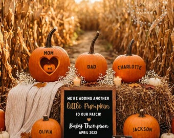 Adding Another Pumpkin To Our Patch Fall Pregnancy Announcement, Fourth Baby Reveal Digital, Baby Number 4 Sibling Editable Template Canva