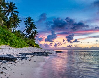 May include: A coastal scene at dusk featuring palm trees, verdant vegetation, and a sandy beach. The sky is a gradient of blues, pinks, and oranges, with clouds. The tranquil sea mirrors the colourful sky above.