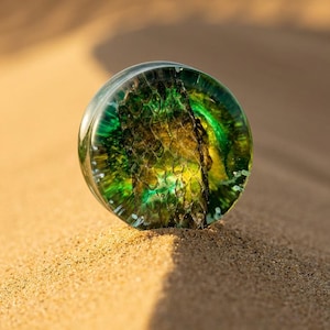 May include: A clear, round plug with a vibrant, layered design. The interior features a mix of green and yellow hues, creating a textured, organic appearance. The plug is set against a backdrop of tan sand.