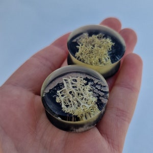 Norwegian Nature Ear Plugs: Handmade Resin Ear Gauges (6-100mm)