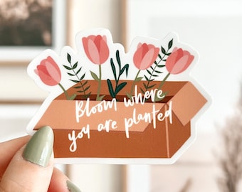 Bloom Where You Are Planted Vinyl Sticker | Cute Sticker, Floral Sticker, Boho Stickers, Laptop Stickers, Waterproof, Plant Stickers