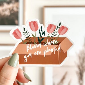 Bloom Where You Are Planted Vinyl Sticker Cute Sticker, Floral Sticker, Boho Stickers, Laptop Stickers, Waterproof, Plant Stickers image 1