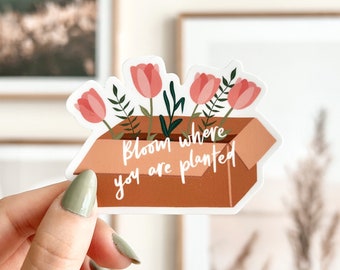 Bloom Where You Are Planted Vinyl Sticker | Cute Sticker, Floral Sticker, Boho Stickers, Laptop Stickers, Waterproof, Plant Stickers