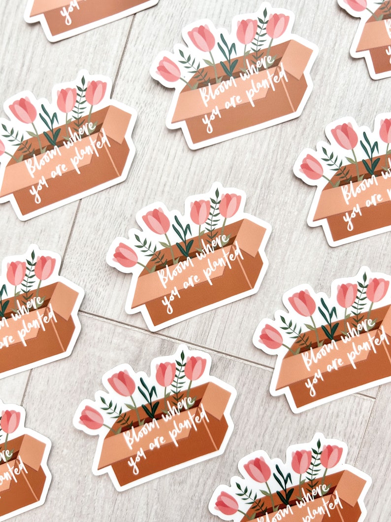 Bloom Where You Are Planted Vinyl Sticker Cute Sticker, Floral Sticker, Boho Stickers, Laptop Stickers, Waterproof, Plant Stickers image 5