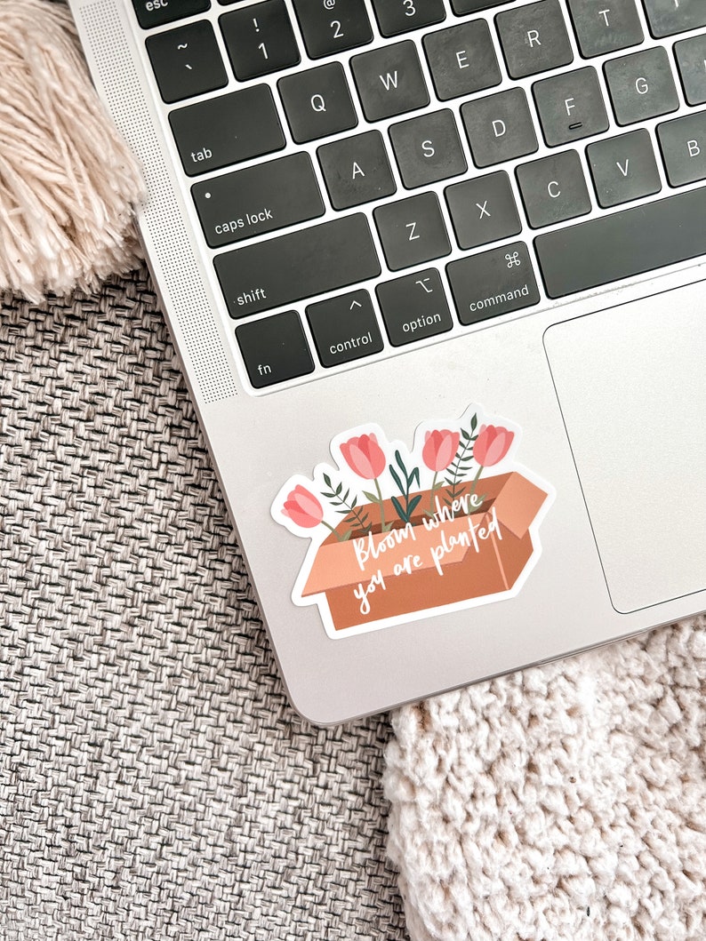 Bloom Where You Are Planted Vinyl Sticker Cute Sticker, Floral Sticker, Boho Stickers, Laptop Stickers, Waterproof, Plant Stickers image 2