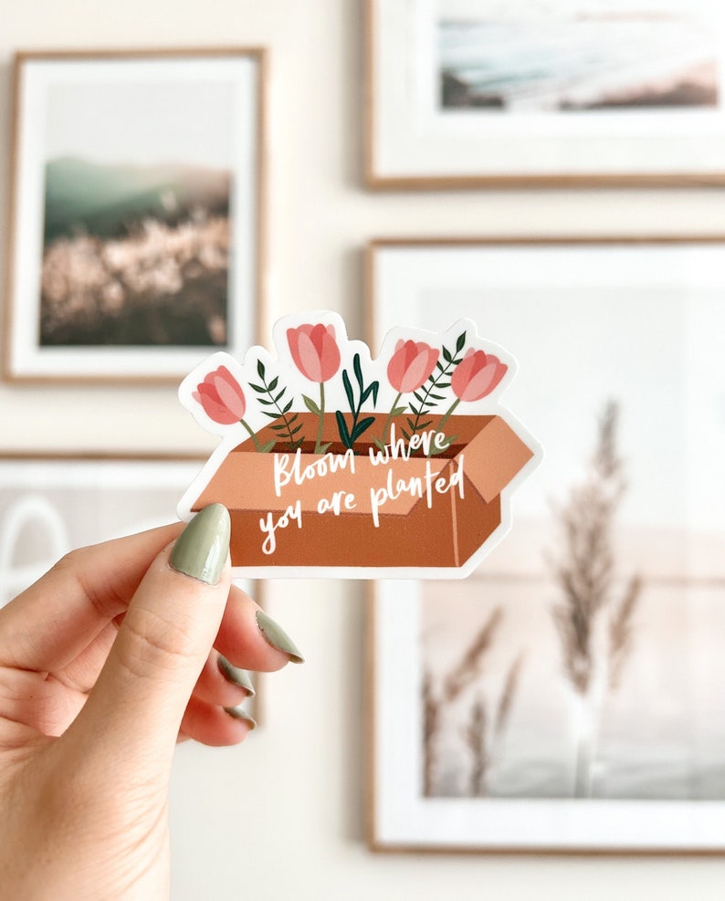 Bloom Where You Are Planted Vinyl Sticker Cute Sticker, Floral Sticker, Boho Stickers, Laptop Stickers, Waterproof, Plant Stickers image 1