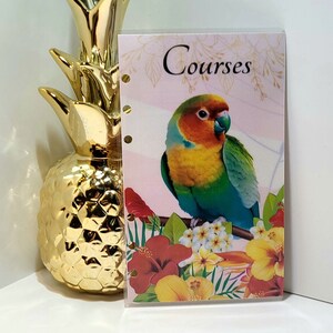 Enveloppe budget personnalisable , tracker au dos pour classeur A6 " PERRUCHE"