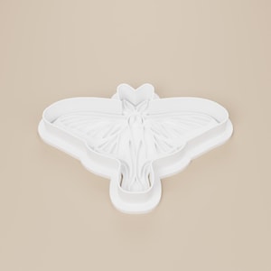 May include: A white plastic cookie cutter in the shape of a moth. The cutter has detailed wing and body features. The design is a single piece with a rounded edge and a heart-shaped head.