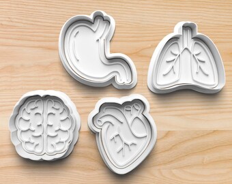 Organ Cookie Cutters || Anatomy Cookie Cutters || Stomach Cookie Cutter || Heart Cookie Cutter || Lungs Cookie Cutter || Brain Cookie Cutter