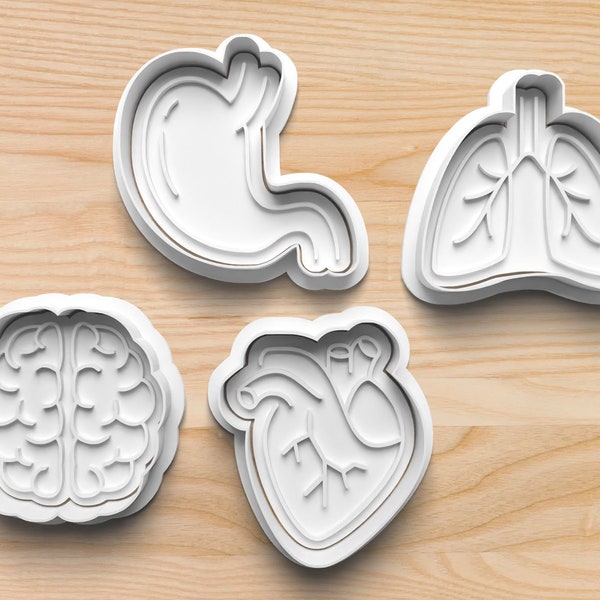 Organ Cookie Cutters || Anatomy Cookie Cutters || Stomach Cookie Cutter || Heart Cookie Cutter || Lungs Cookie Cutter || Brain Cookie Cutter