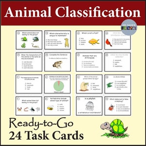 Tarjetas de tareas de clasificación de animales, invertebrados y vertebrados
