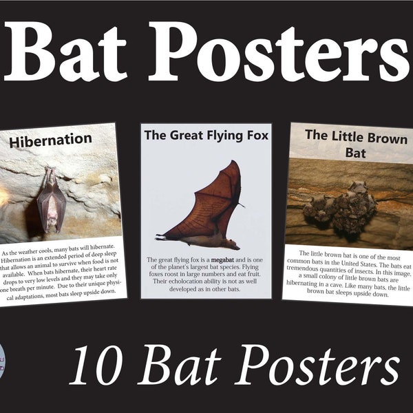 Bat Posters Halloween Bulletin Board with Informational Text