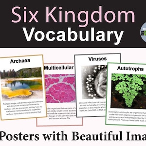 Six Kingdom Science Posters