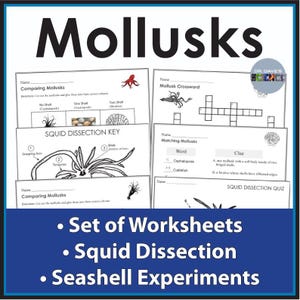 May include: A set of educational worksheets with the title "Mollusks" in large black letters. The worksheets include a crossword, a squid dissection key, and a matching activity. The bottom of the image reads "Set of Worksheets, Squid Dissection, Seashell Experiments."
