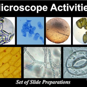 Paquete de actividades de laboratorio con portaobjetos de microscopio Células de la mejilla de la cebolla Estomas Polen