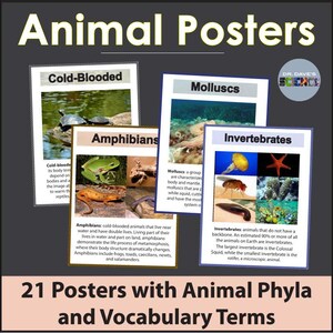 Animal Phyla Posters Science Classroom Decor Bulletin Board Vertebrates Invertebrates