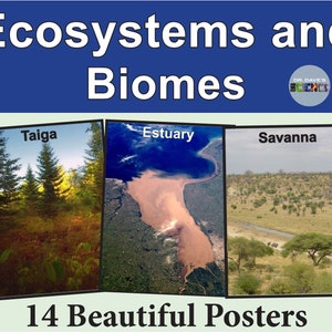 Biome and Ecology Posters Digital Science Prints Environment Tundra
