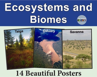 Biome and Ecology Posters Digital Science Prints Environment Tundra