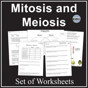 May include: A set of worksheets on the topics of Mitosis and Meiosis. The image features several pages with diagrams, charts, and questions. The title "Mitosis and Meiosis" is displayed in large white letters at the top, with the text "Set of Worksheets" at the bottom.