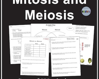 Hojas de trabajo sobre mitosis y meiosis. Actividad de duplicación por fisión bacteriana. Reproducción.
