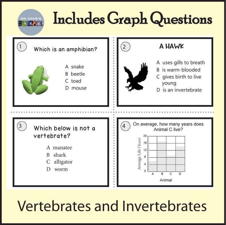 Animal Classification Invertebrates and Vertebrates Task Cards - Etsy